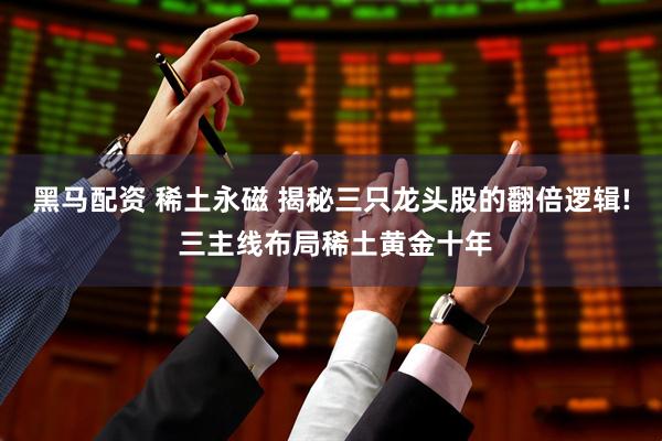 黑马配资 稀土永磁 揭秘三只龙头股的翻倍逻辑! 三主线布局稀土黄金十年