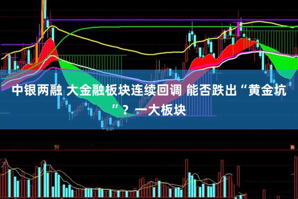 中银两融 大金融板块连续回调 能否跌出“黄金坑”？一大板块