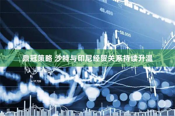 鼎冠策略 沙特与印尼经贸关系持续升温