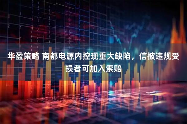 华盈策略 南都电源内控现重大缺陷，信披违规受损者可加入索赔