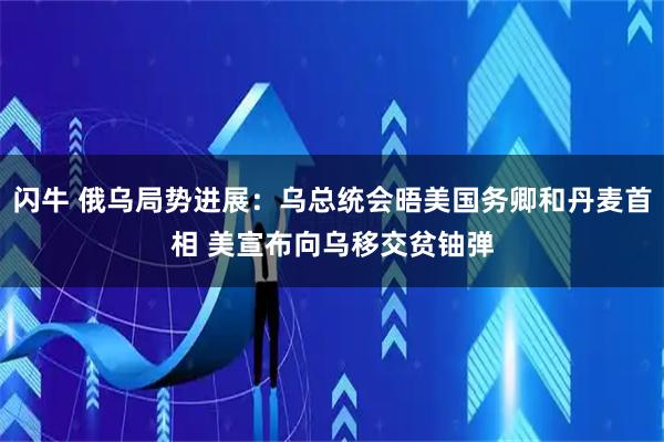 闪牛 俄乌局势进展：乌总统会晤美国务卿和丹麦首相 美宣布向乌移交贫铀弹